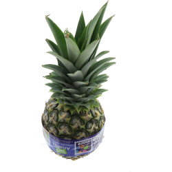 BIO ANANAS ONE CENT FOR THE FUTURE EMBALL 9PCS
